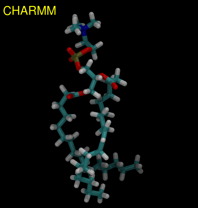 CHARMM36_vs_buildH.gif